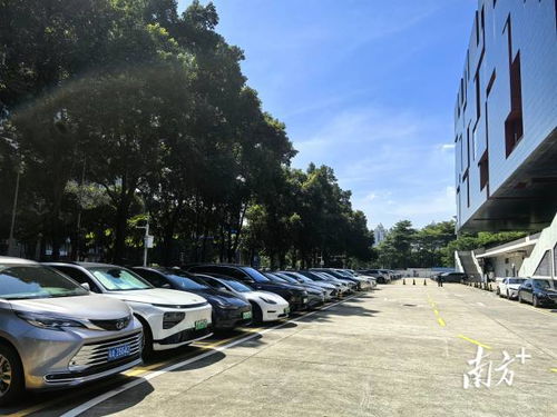廣東省博物館回應(yīng)車庫(kù)禁停新能源車 基于消防安全要求，非歧視性政策